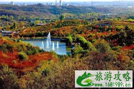 北宫国家森林公园赏叶游玩线路推荐 门票+路线+交通 北宫国家森林公园赏叶游玩线路推荐 门票+路线+交通