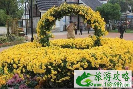 2022镇海菊展在哪里 2022镇海菊展在哪里
