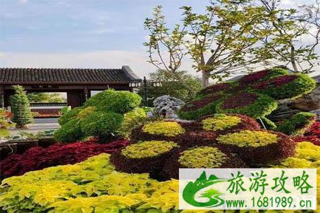 2022镇海菊展在哪里 2022镇海菊展在哪里