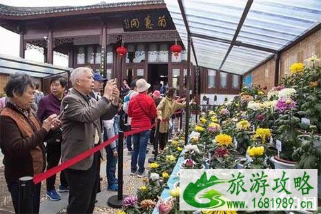 2022镇海菊展在哪里 2022镇海菊展在哪里