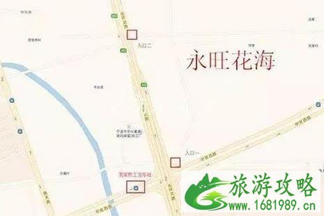 2022镇海菊展在哪里 2022镇海菊展在哪里