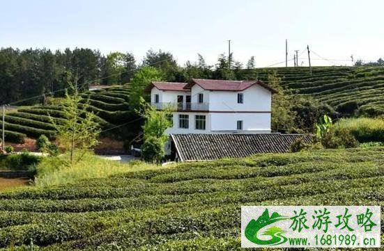 旺苍有什么好露营的地方 旺苍有什么好露营的地方