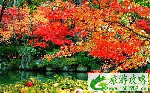 米亚罗风景区最佳时间+攻略 米亚罗风景区最佳时间+攻略
