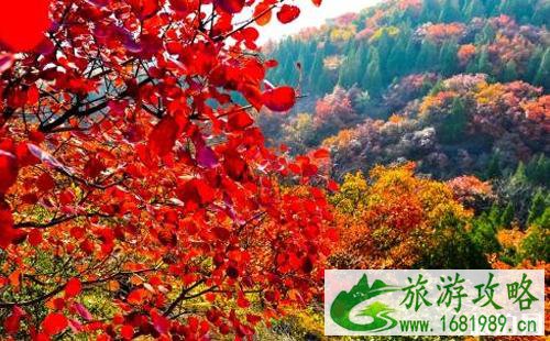 2020香山停车怎么收费 香山停车短信通知怎么操作 2020香山停车怎么收费 香山停车短信通知怎么操作