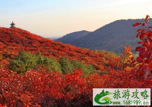 2020香山停车怎么收费 香山停车短信通知怎么操作 2020香山停车怎么收费 香山停车短信通知怎么操作