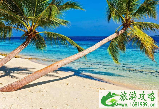 去夏威夷住哪里 去夏威夷住哪里