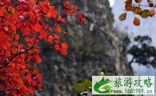 邢台赏红叶最好的地方是哪里