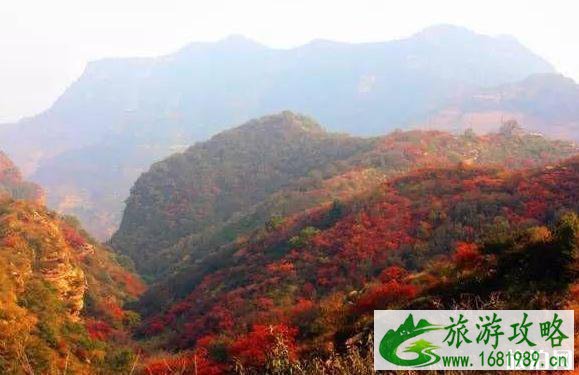 邢台赏红叶最好的地方是哪里