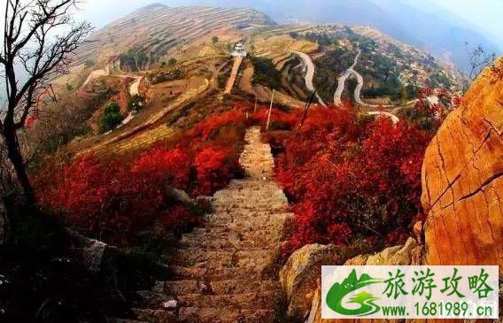 邢台赏红叶最好的地方是哪里