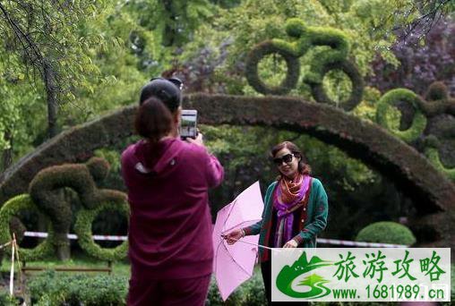 2022成都人民公园菊花展什么时候开始 2022成都人民公园菊花展什么时候开始