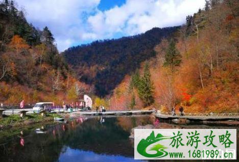 黑龙江红叶最美的地方在哪里 黑龙江红叶最美的地方在哪里