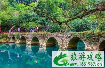 重庆到柳州自驾游怎么走