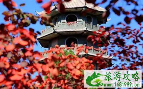 2022济南红叶谷游玩攻略 红叶谷的红叶红了吗