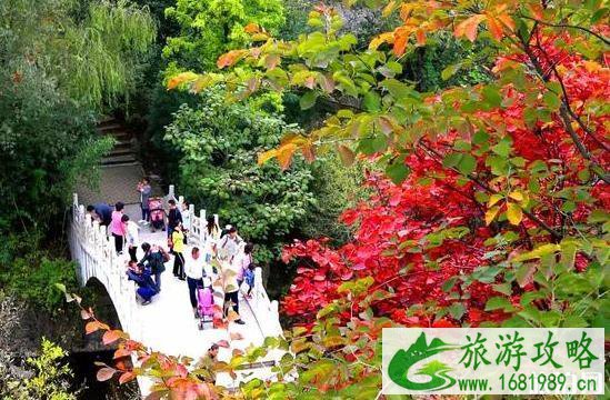 2022济南红叶谷游玩攻略 红叶谷的红叶红了吗