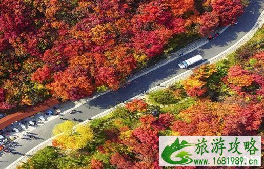2022济南红叶谷游玩攻略 红叶谷的红叶红了吗