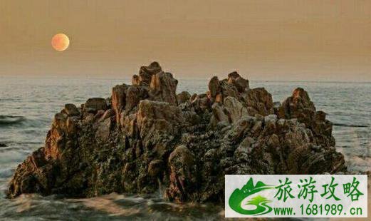 烟台万鸟岛在什么地方 怎么去 烟台万鸟岛在什么地方 怎么去