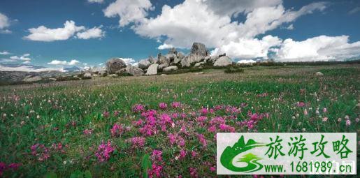 海子山在哪个地方 海子山好玩吗 海子山在哪个地方 海子山好玩吗