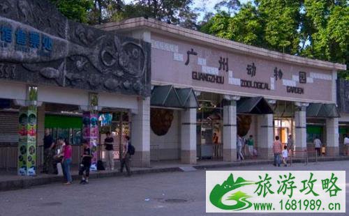 广州动物园门票价格多少钱+优惠政策+开放时间 广州动物园门票价格多少钱+优惠政策+开放时间