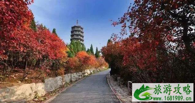 北京秋天好去处 北京秋天好去处