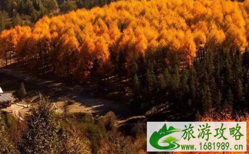 四川看红叶的地方