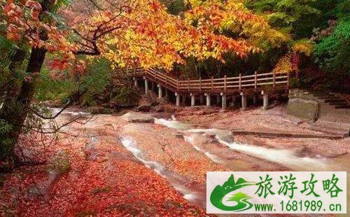 四川看红叶的地方