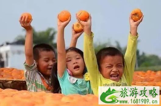 2022恭城柿子节是什么时候 2022恭城柿子节是什么时候