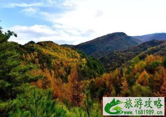 2022太白县第十届红叶节持续到什么时候 2022太白县第十届红叶节持续到什么时候