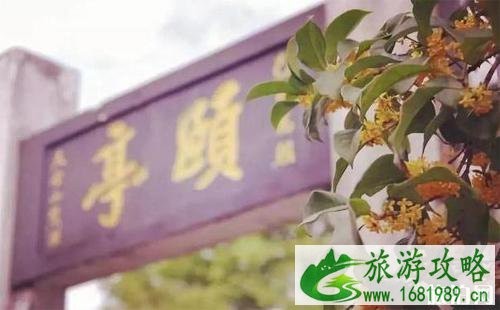 上海桂花开了吗 上海桂花出名的公园有哪些 上海桂花开了吗 上海桂花出名的公园有哪些