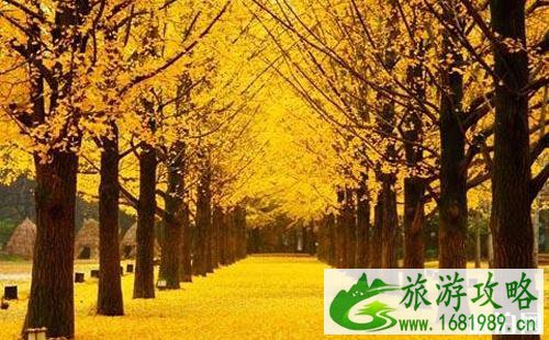 韩国秋季徒步路线推荐
