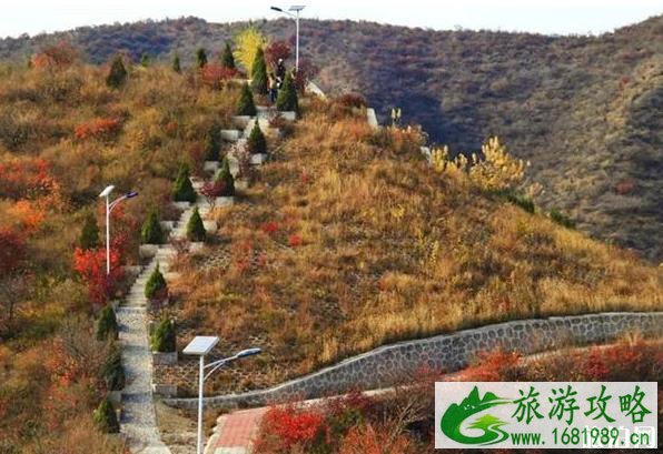 2022西达摩村在哪 西达摩村的红叶红了吗 2022西达摩村在哪 西达摩村的红叶红了吗