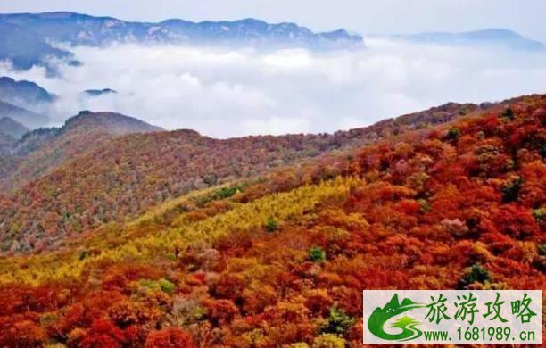 山西红叶哪儿最好看 山西红叶哪儿最好看