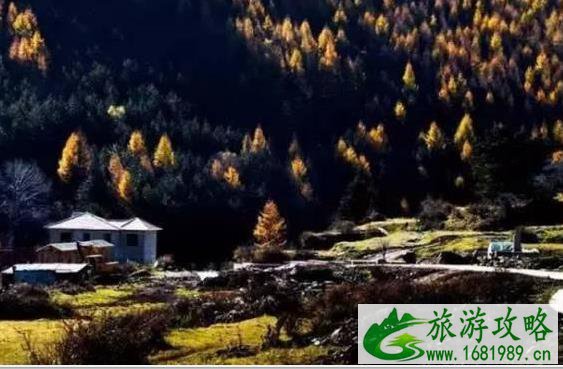 山西红叶哪儿最好看 山西红叶哪儿最好看