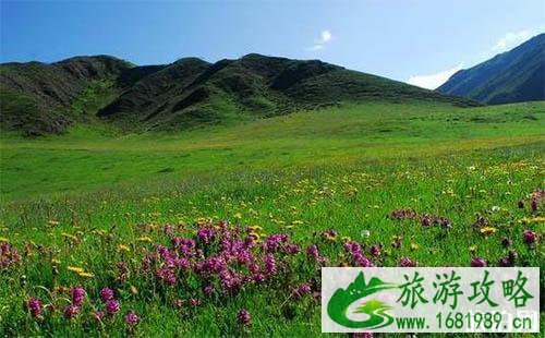 陕西安康到甘南自驾游 沿途有什么景点游玩 陕西安康到甘南自驾游 沿途有什么景点游玩