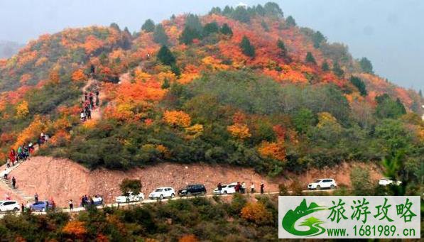山西平陆马泉沟怎么走 红叶红了吗 山西平陆马泉沟怎么走 红叶红了吗