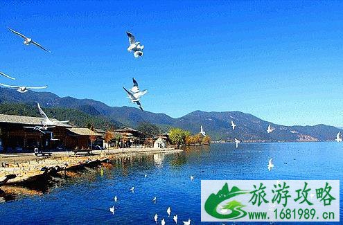 成都自驾泸沽湖攻略