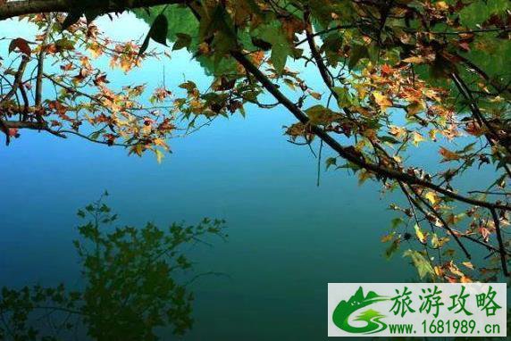 2022贵州秋天哪里好玩 贵州赏秋的好地方 2022贵州秋天哪里好玩 贵州赏秋的好地方