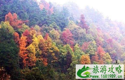 2022贵州秋天哪里好玩 贵州赏秋的好地方 2022贵州秋天哪里好玩 贵州赏秋的好地方