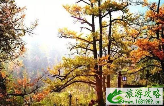 2022贵州秋天哪里好玩 贵州赏秋的好地方 2022贵州秋天哪里好玩 贵州赏秋的好地方