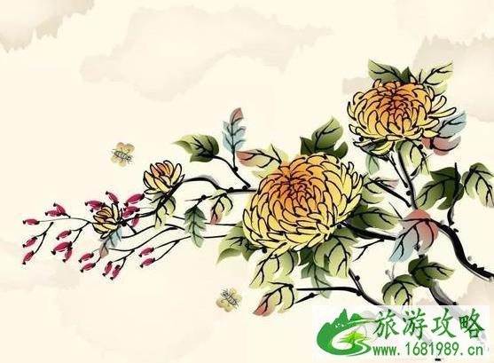 2022肥乡菊花节什么时候开幕 持续多久时间 2022肥乡菊花节什么时候开幕 持续多久时间