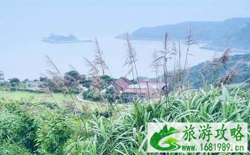 棕榈湾在哪里 怎么去 棕榈湾有什么好玩的 棕榈湾在哪里 怎么去 棕榈湾有什么好玩的
