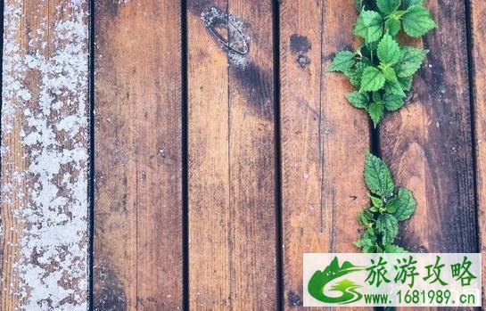 棕榈湾在哪里 怎么去 棕榈湾有什么好玩的 棕榈湾在哪里 怎么去 棕榈湾有什么好玩的