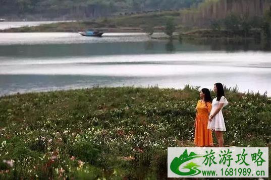 2022汉江之滨生态园十月有什么花盛开 2022汉江之滨生态园十月有什么花盛开
