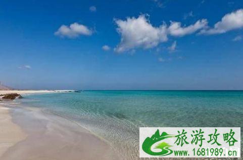 索科特拉岛是哪个国家 索科特拉岛旅游介绍