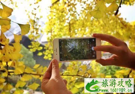 2022年贵州的网红村寨都有哪些 2022年贵州的网红村寨都有哪些