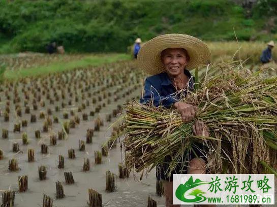 2022年贵州的网红村寨都有哪些 2022年贵州的网红村寨都有哪些