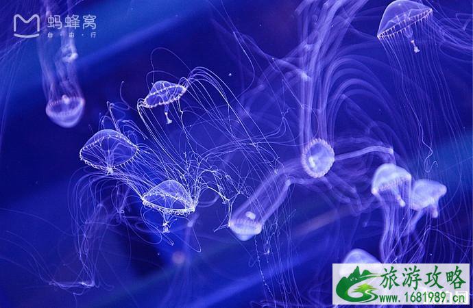 东京夜景在哪里看比较好 东京晚上有哪里好玩 东京夜景在哪里看比较好 东京晚上有哪里好玩