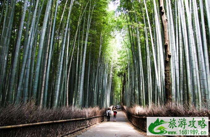 京都必去景点 京都两日游路线推荐 京都必去景点 京都两日游路线推荐