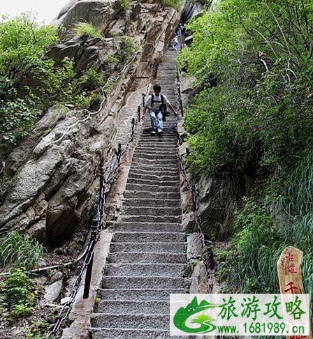 华山有多险 华山险景主要有哪几处