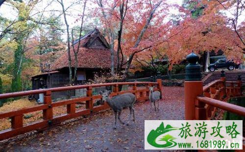 奈良一日游怎么安排为好 奈良旅游必去景点