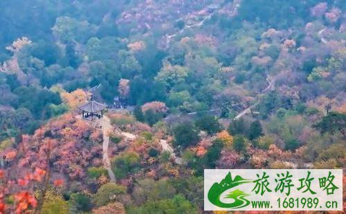 中国最美红叶观赏地 中国最美红叶观赏地